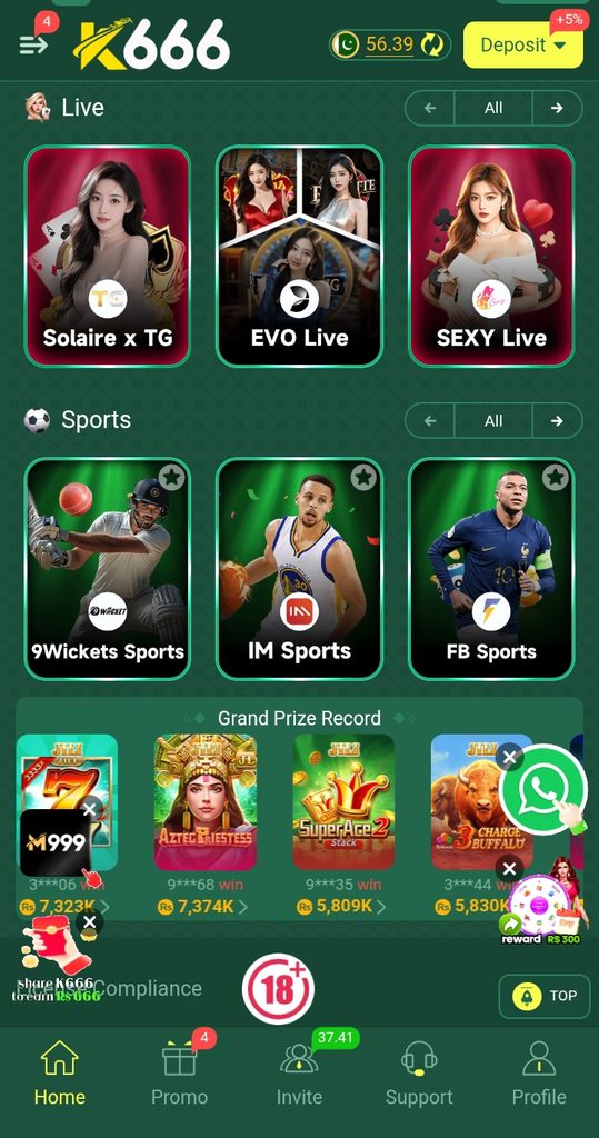K 666 game