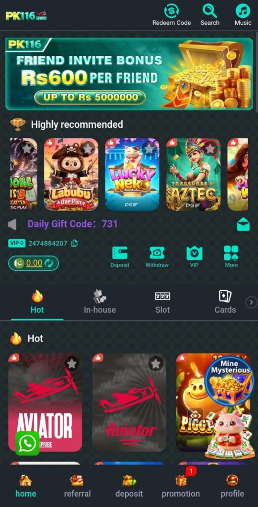 PK116 game