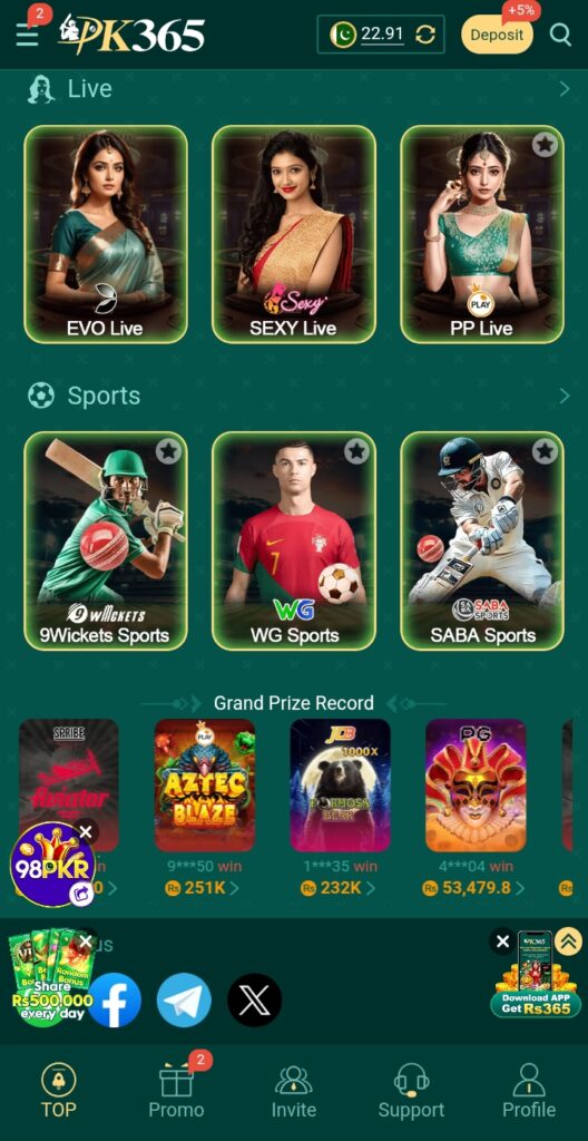 PK 365 game