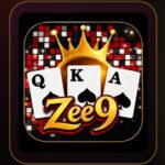 ZEE9