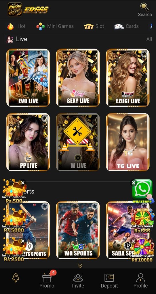 ER666 game